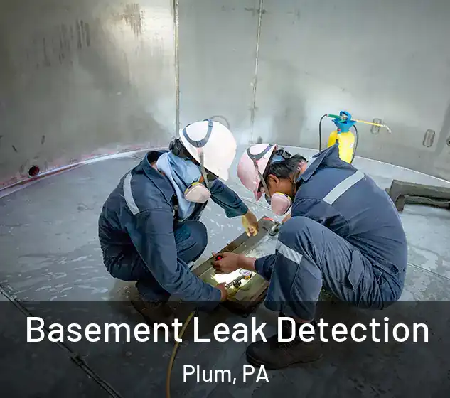  Basement Leak Detection Plum, PA