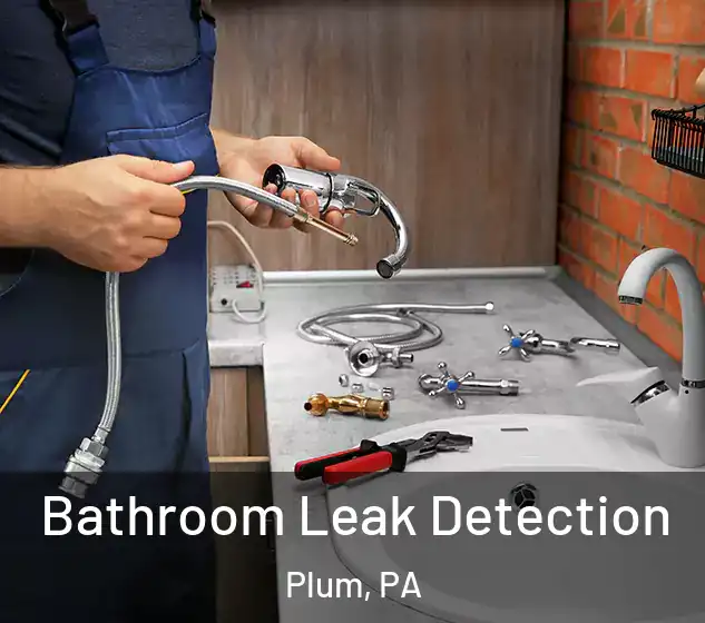  Bathroom Leak Detection Plum, PA