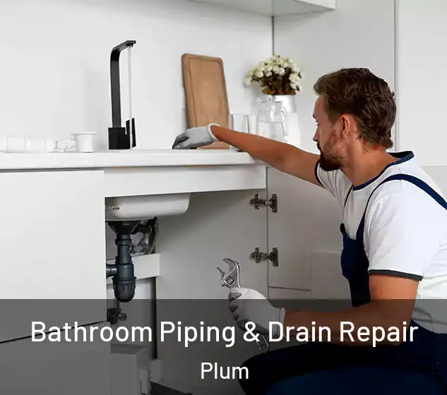  Bathroom Piping & Drain Repair Plum