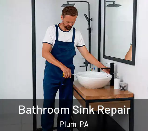  Bathroom Sink Repair Plum, PA