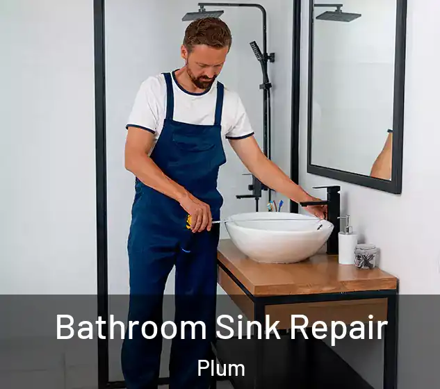  Bathroom Sink Repair Plum