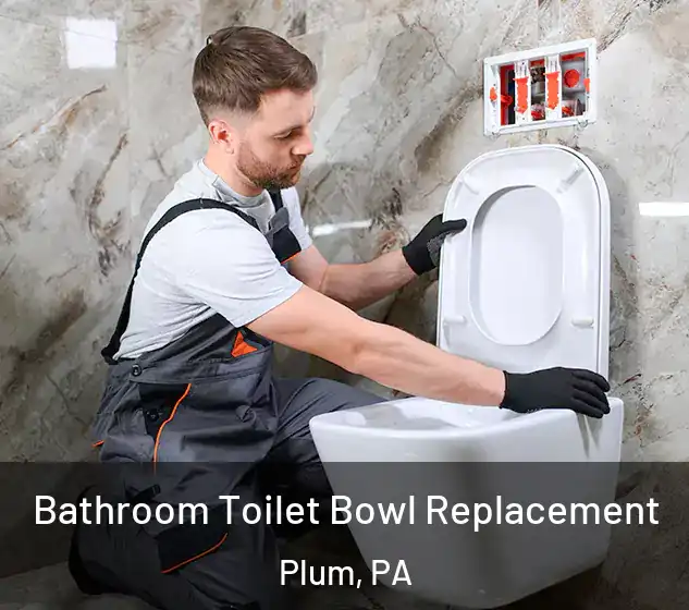  Bathroom Toilet Bowl Replacement Plum, PA