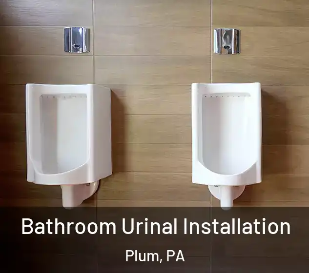  Bathroom Urinal Installation Plum, PA