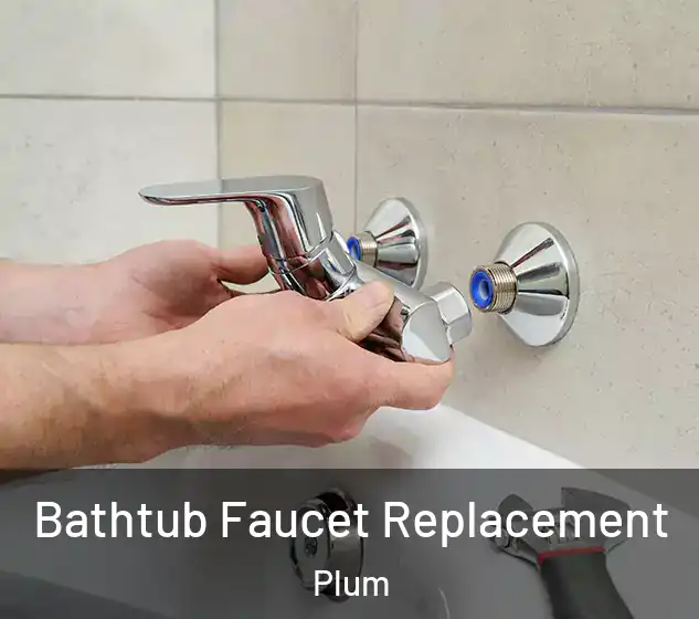  Bathtub Faucet Replacement Plum