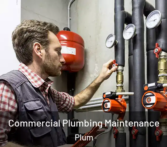  Commercial Plumbing Maintenance Plum