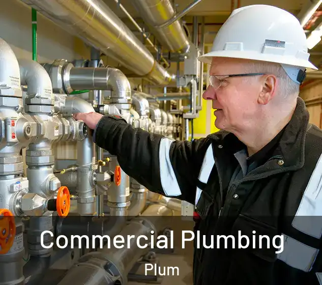  Commercial Plumbing Plum