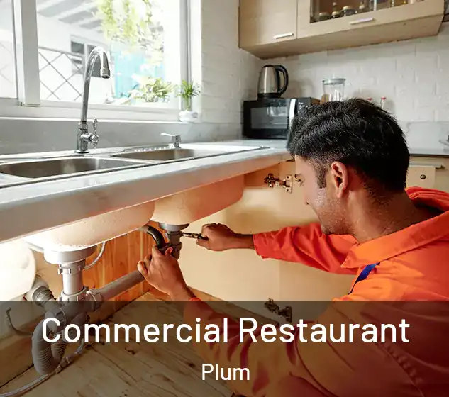  Commercial Restaurant Plum