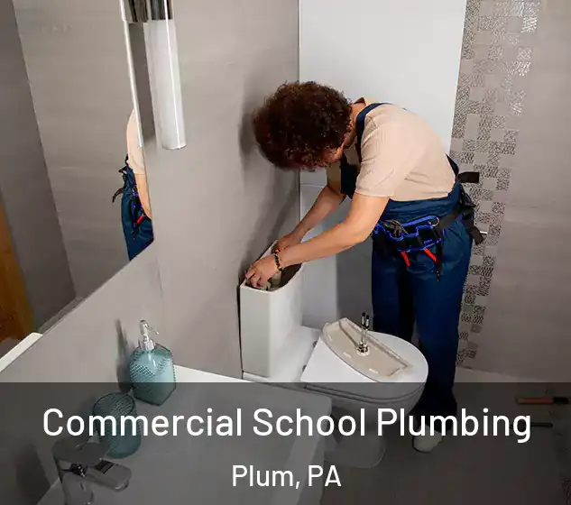  Commercial School Plumbing Plum, PA