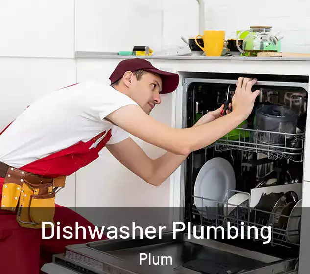  Dishwasher Plumbing Plum