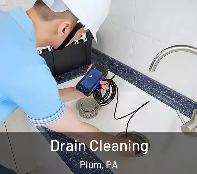  Drain Cleaning Plum, PA