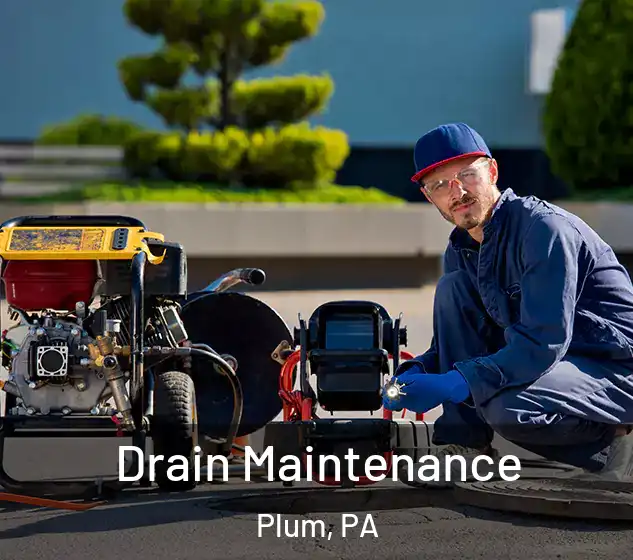  Drain Maintenance Plum, PA