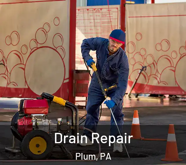  Drain Repair Plum, PA