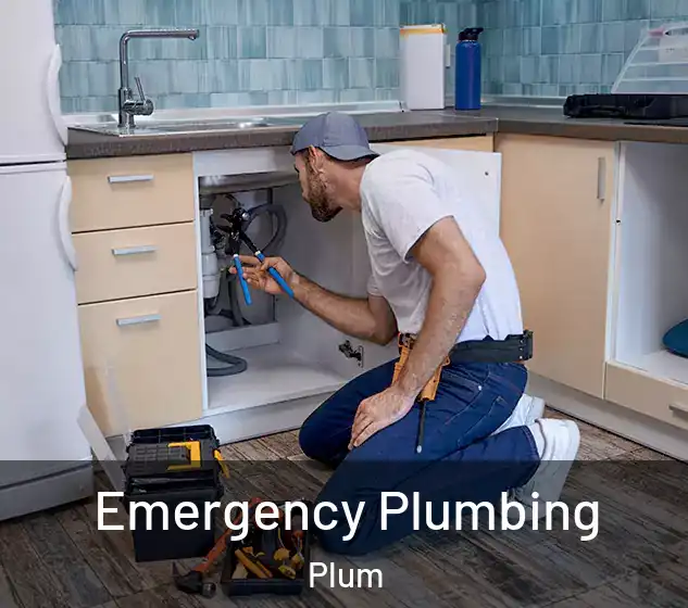  Emergency Plumbing Plum