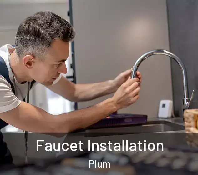  Faucet Installation Plum