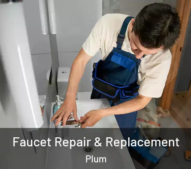  Faucet Repair & Replacement Plum