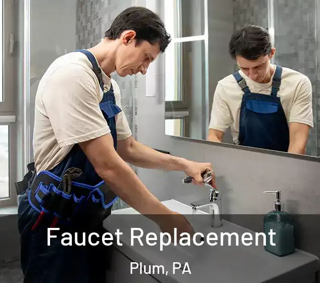  Faucet Replacement Plum, PA
