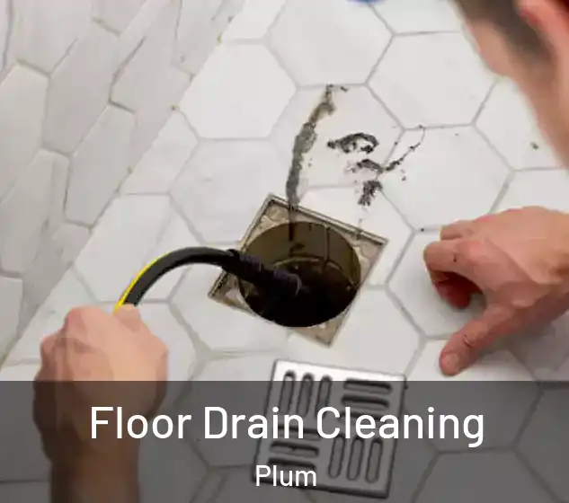  Floor Drain Cleaning Plum