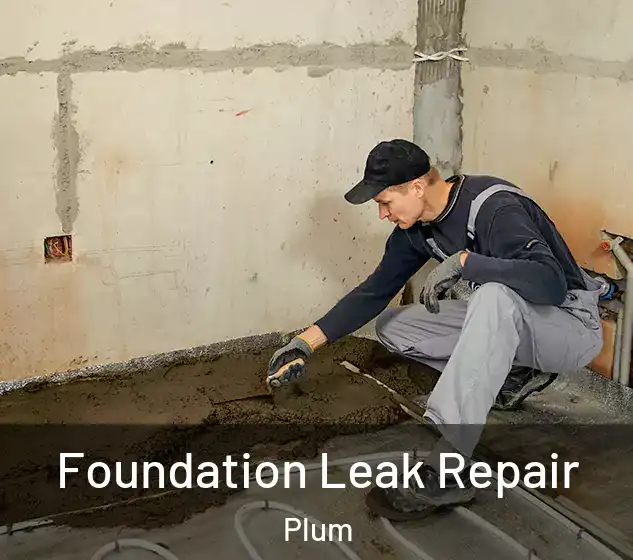  Foundation Leak Repair Plum