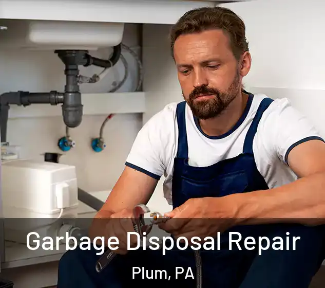  Garbage Disposal Repair Plum, PA