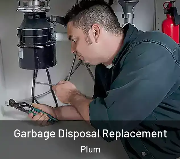  Garbage Disposal Replacement Plum