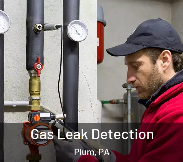  Gas Leak Detection Plum, PA