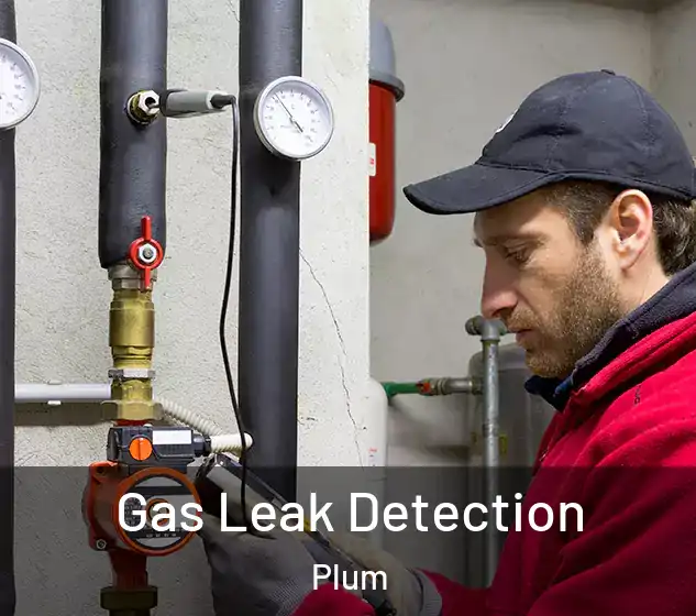  Gas Leak Detection Plum