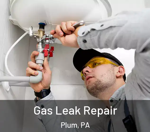  Gas Leak Repair Plum, PA