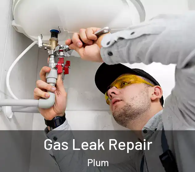  Gas Leak Repair Plum