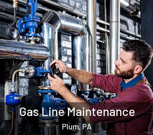  Gas Line Maintenance Plum, PA