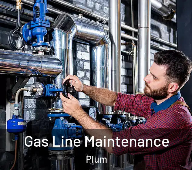  Gas Line Maintenance Plum