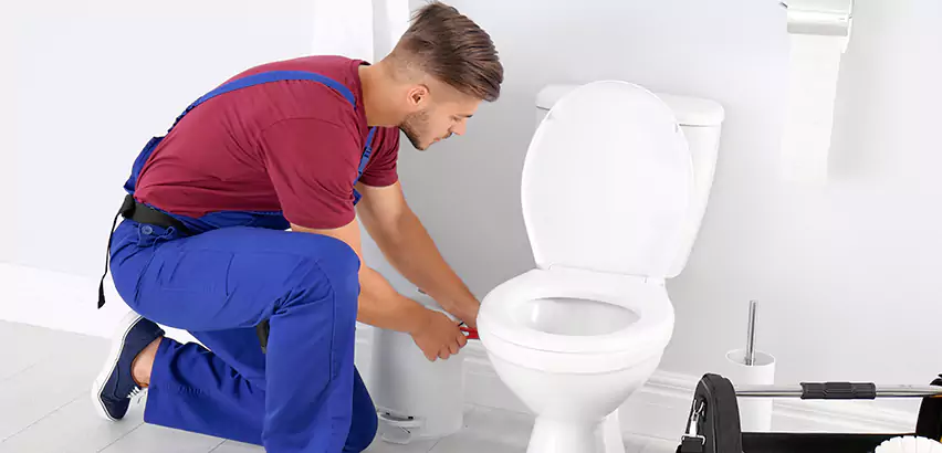 Scope of Bathroom Toilet Bowl Replacement Services in Plum, PA