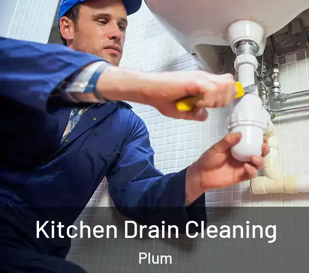  Kitchen Drain Cleaning Plum