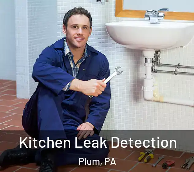  Kitchen Leak Detection Plum, PA