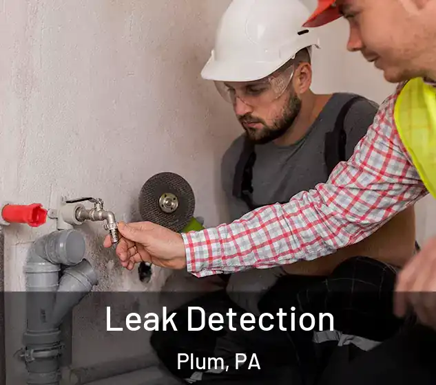  Leak Detection Plum, PA