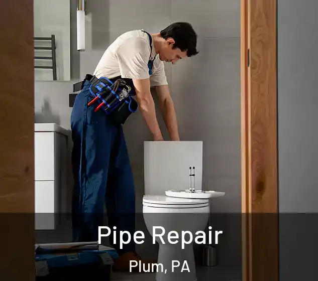  Pipe Repair Plum, PA