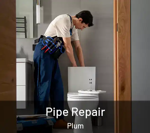  Pipe Repair Plum