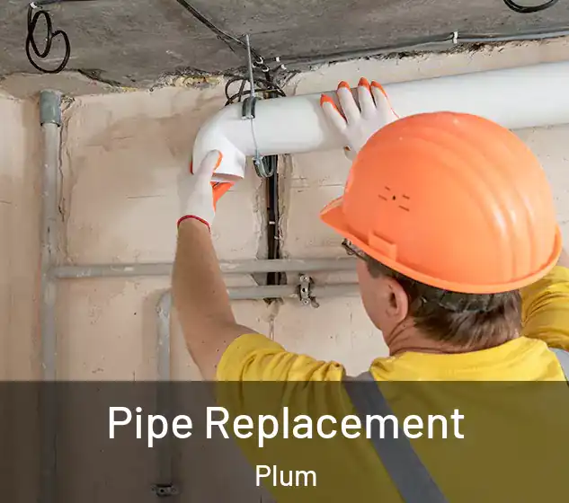  Pipe Replacement Plum