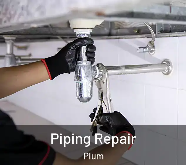  Piping Repair Plum