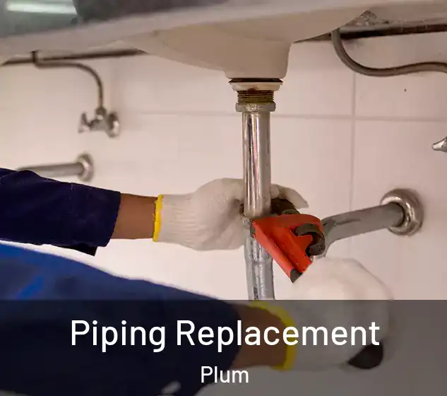  Piping Replacement Plum