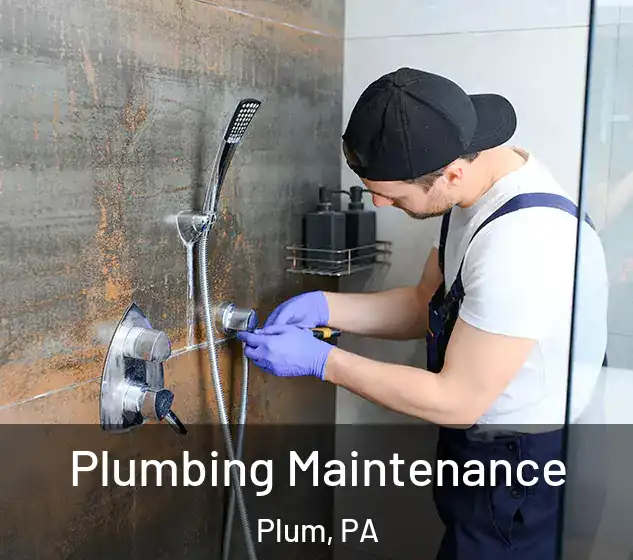  Plumbing Maintenance Plum, PA
