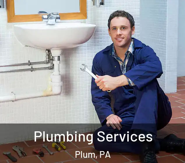  Plumbing Services Plum, PA