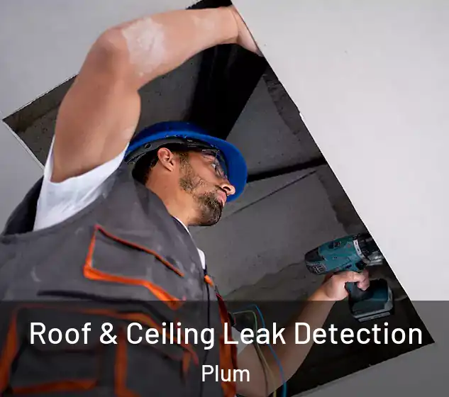  Roof & Ceiling Leak Detection Plum