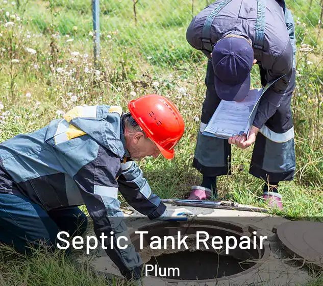  Septic Tank Repair Plum