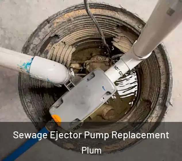  Sewage Ejector Pump Replacement Plum