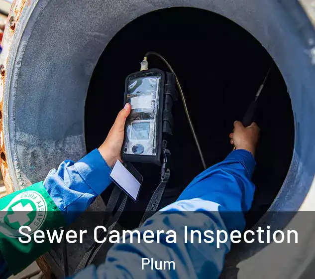  Sewer Camera Inspection Plum