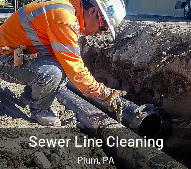  Sewer Line Cleaning Plum, PA