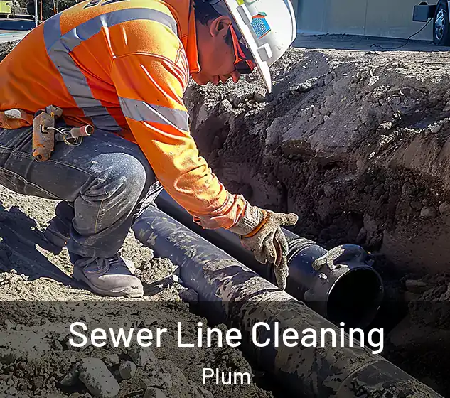  Sewer Line Cleaning Plum
