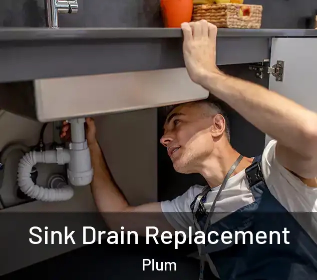  Sink Drain Replacement Plum