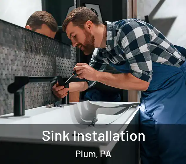  Sink Installation Plum, PA