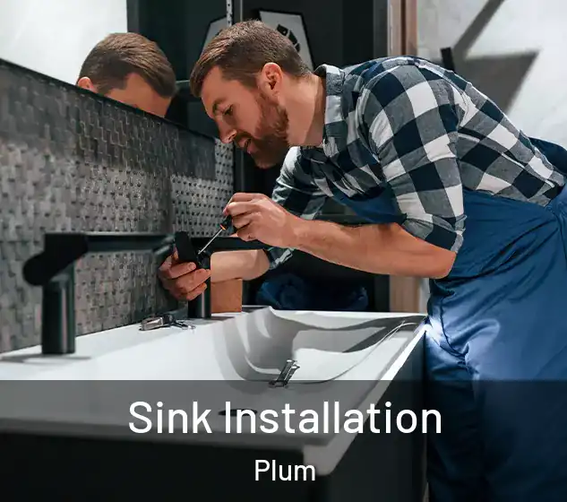  Sink Installation Plum